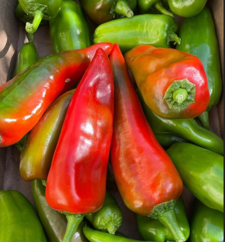 Marconi Peppers
