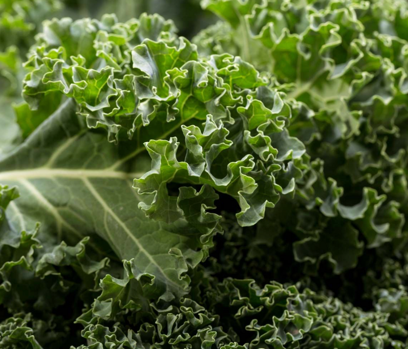 Curly Kale