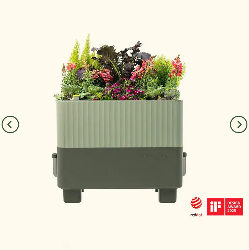 EZCube Self-Watering Planter 21" x 24” by Vego