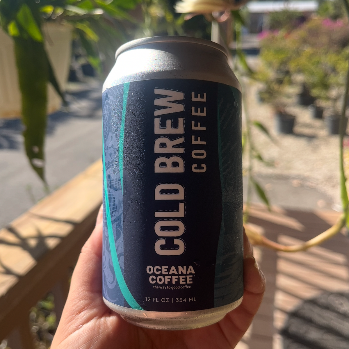Cold Brew Can - Oceana Coffee
