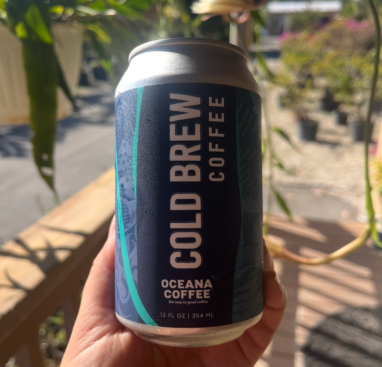 Cold Brew Can - Oceana Coffee