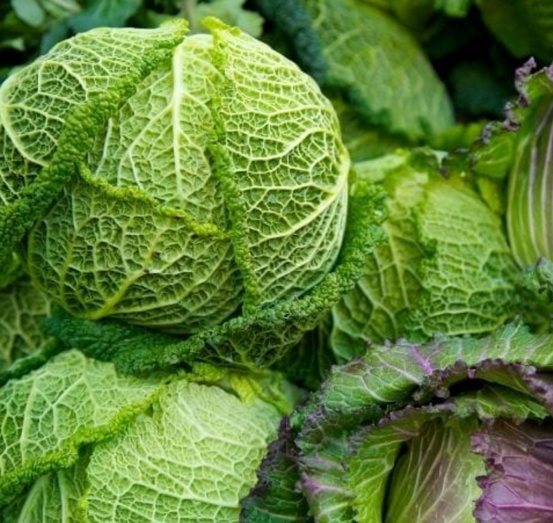 Cabbage Quick N Tasty