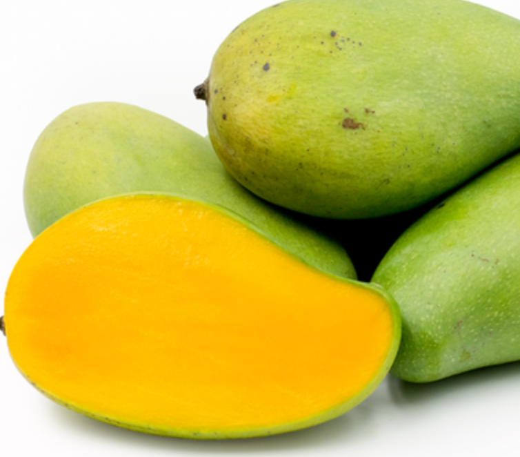 Pram Kai Mea Mango Tree 7G - Urban Abundance