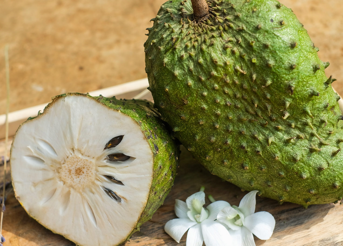 Soursop 7G - Urban Abundance