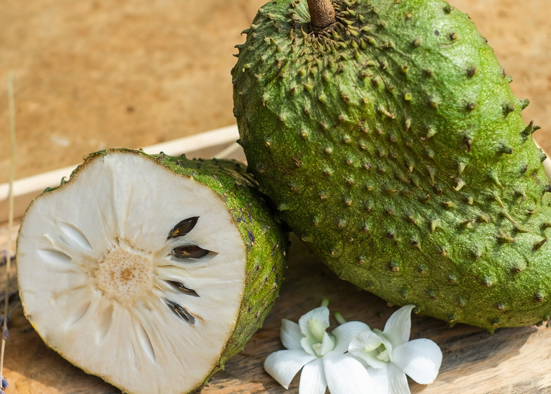 Soursop 7G - Urban Abundance