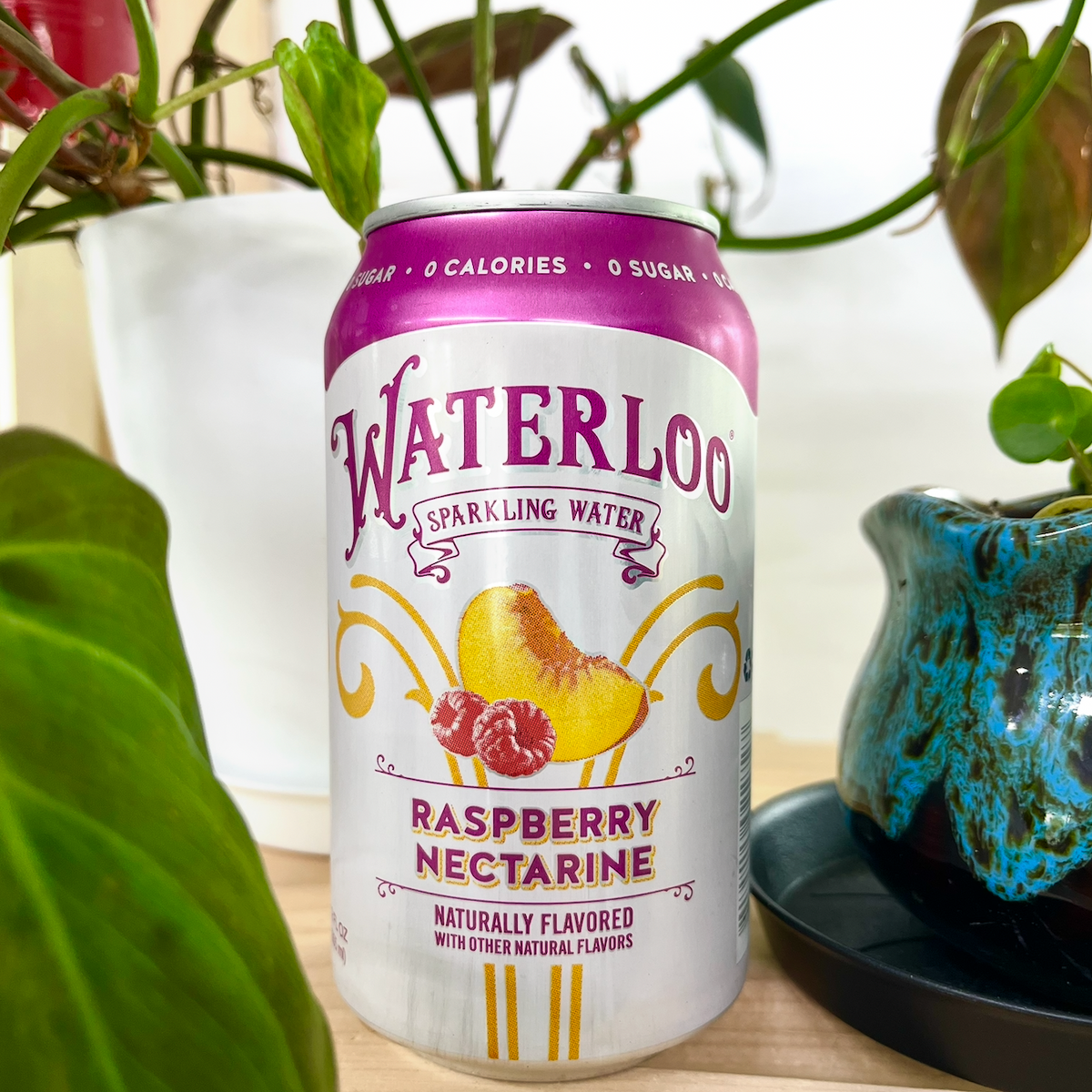 Water Loo Raspberry Nectarine