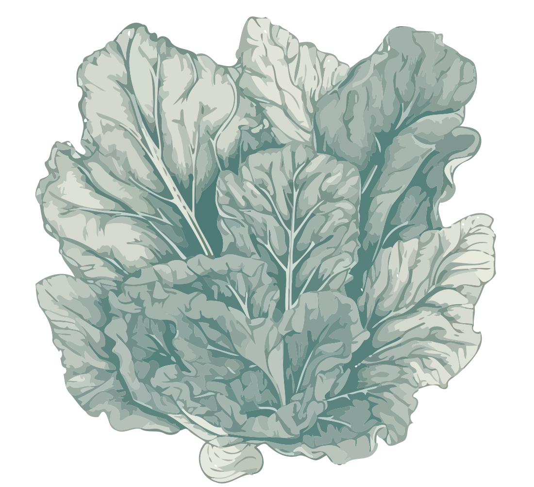 Image with text section