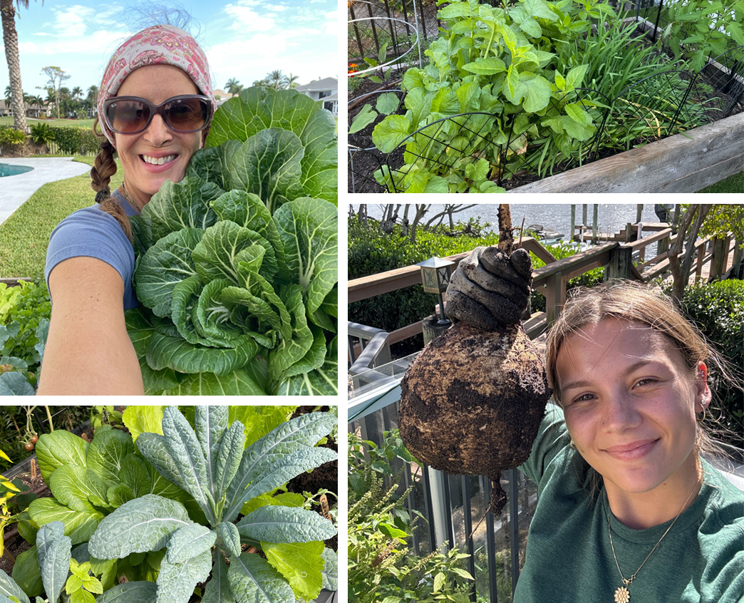 Image with text section